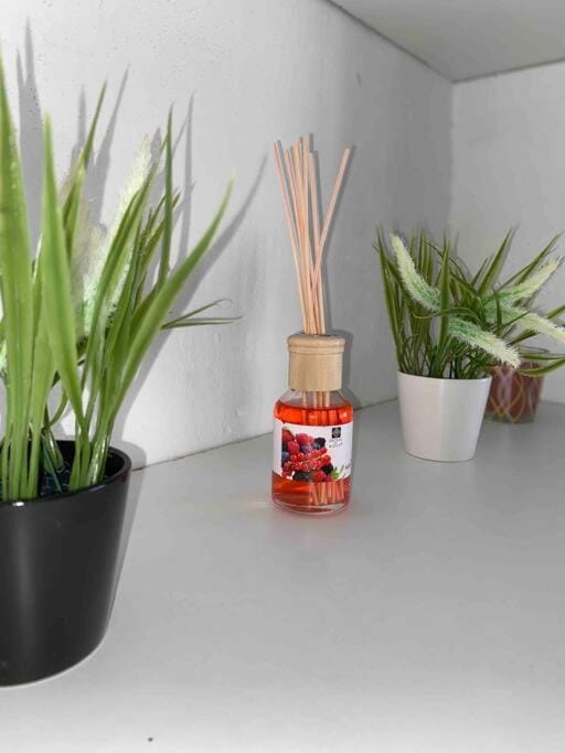 Studio spacieux proche du centre ville Apartment in Bourgogne-Franche-Comté