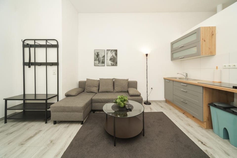 Living room, kitchen