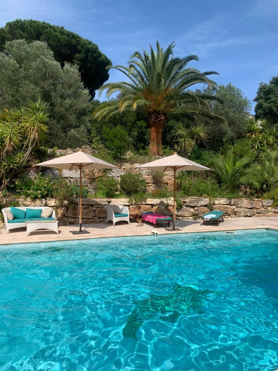 Garden, Swimming pool, sunbed