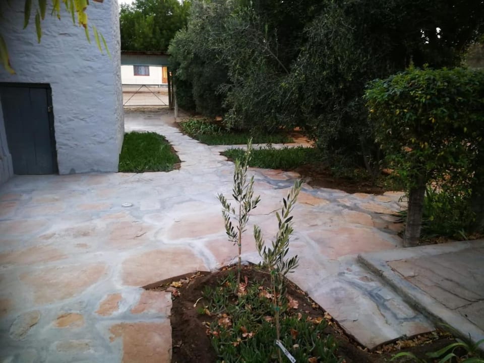 Day, Garden, Garden view