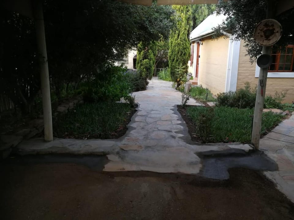 Day, Garden, Garden, Garden view