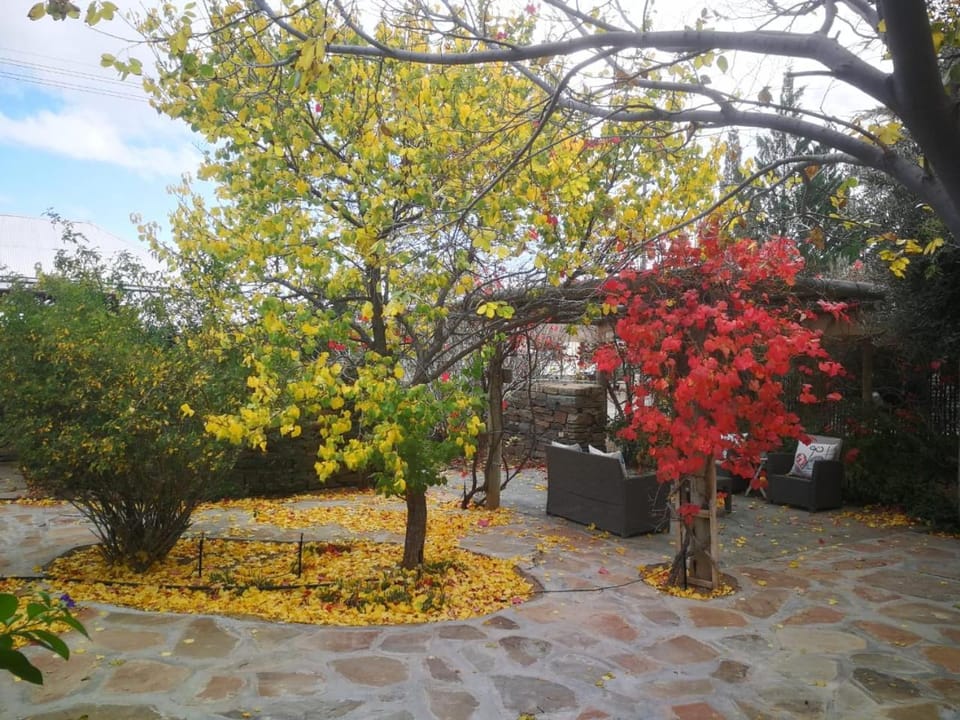 Garden, Garden, Garden view