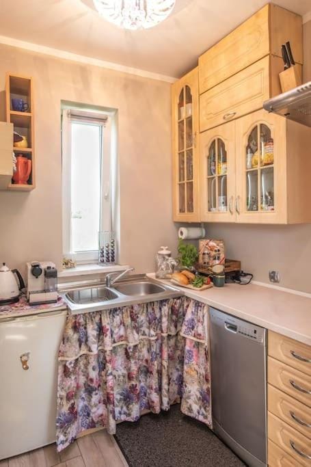 Kitchen or kitchenette, dishwasher, minibar, pet friendly, stove