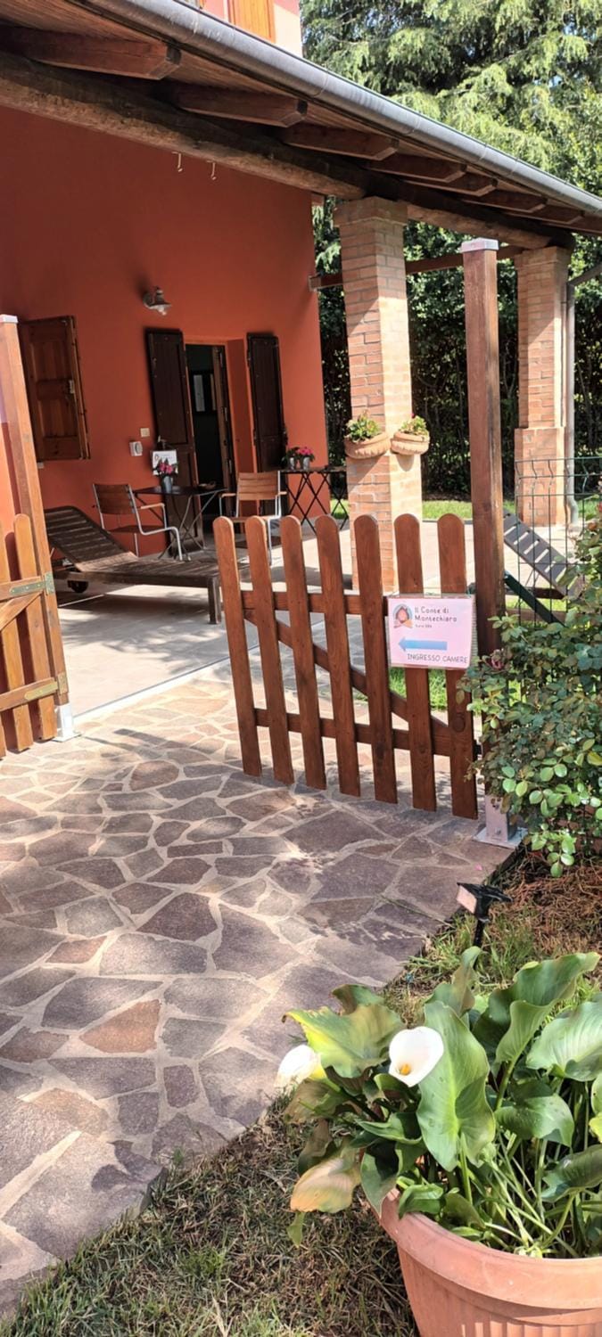 Property building, Garden view