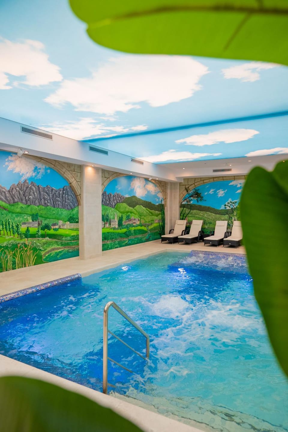 Spa and wellness centre/facilities, Swimming pool