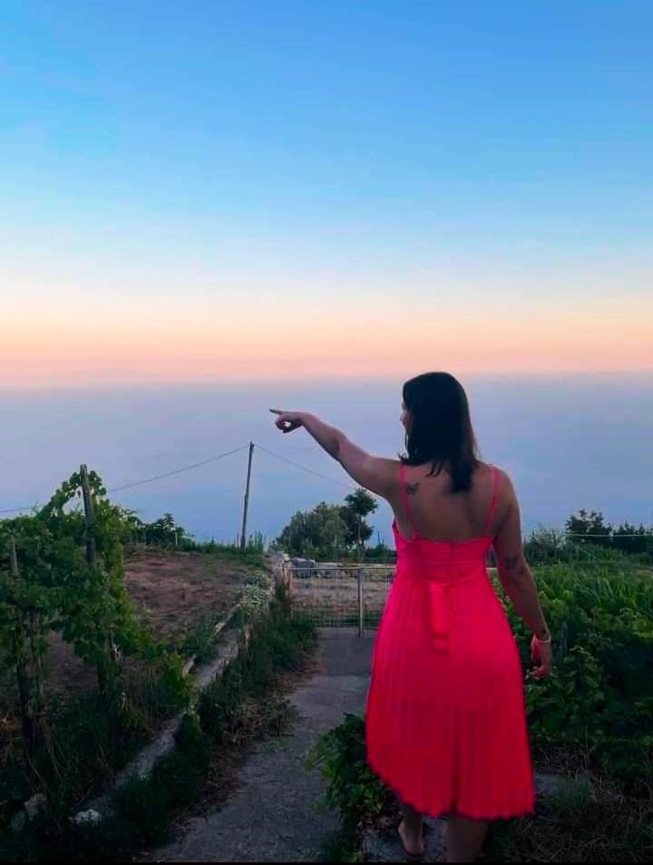 Spring, Day, Guests, Sea view, Sunset
