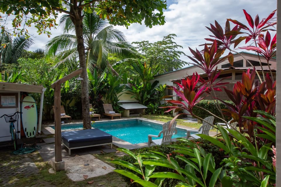 Swimming pool, Swimming pool