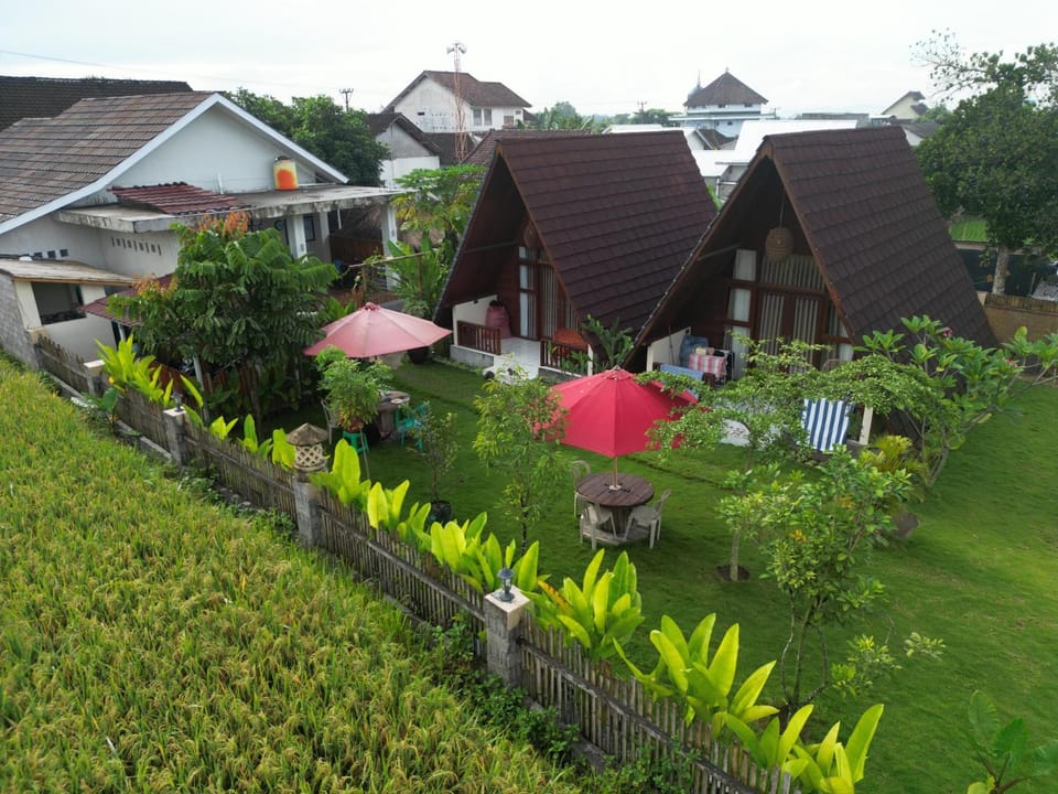 Property building, Day, Garden view