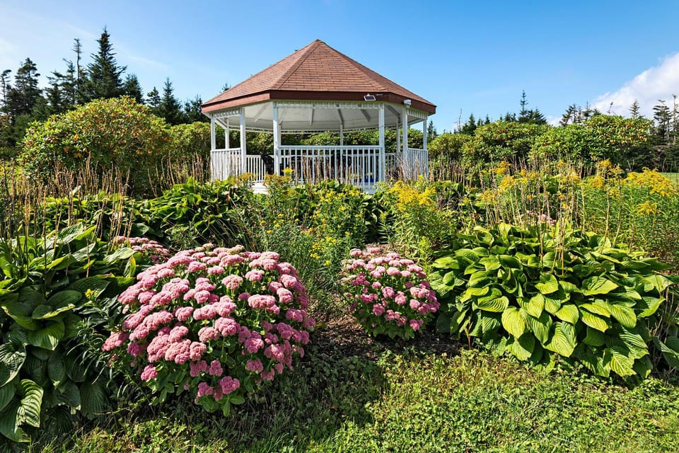 Garden view