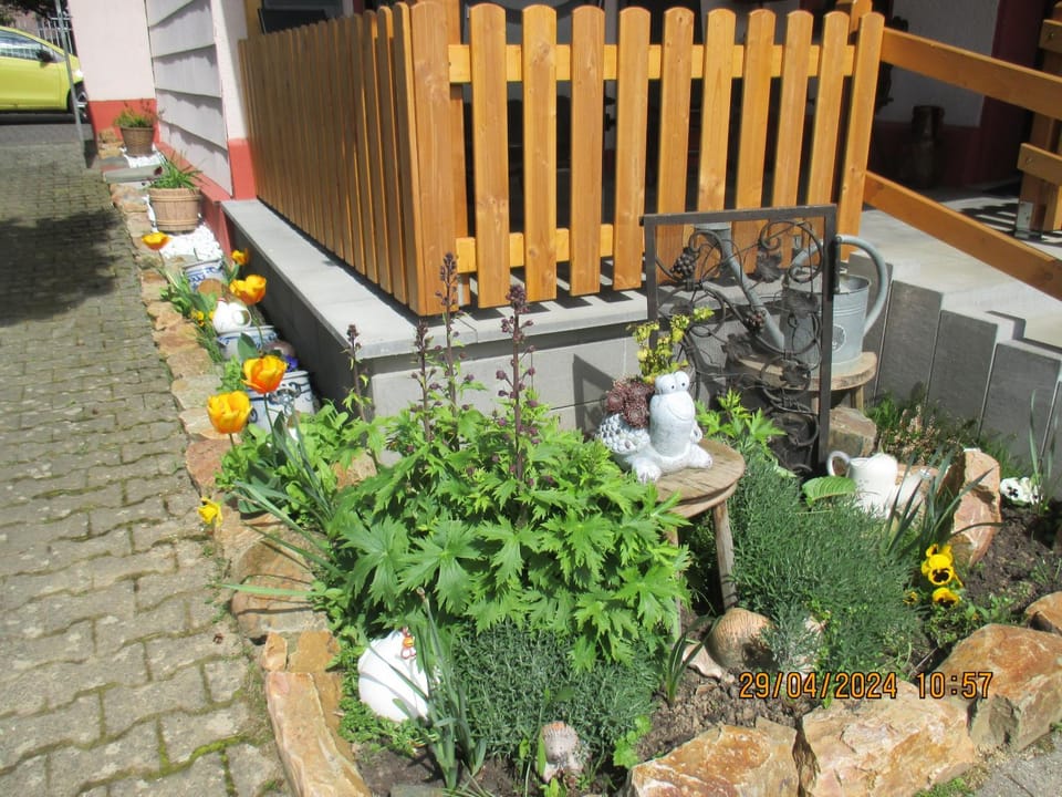 Day, Garden view