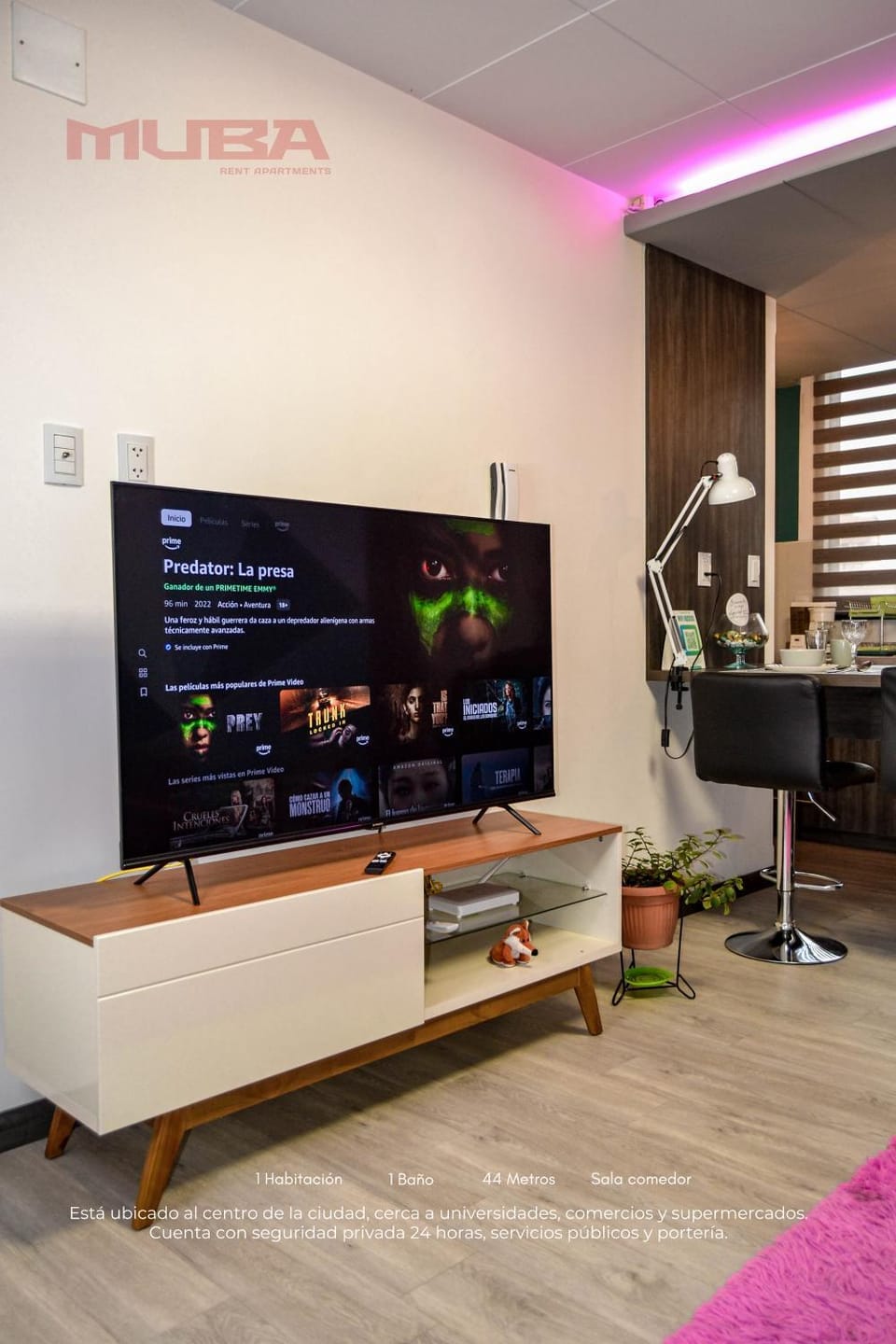 TV and multimedia