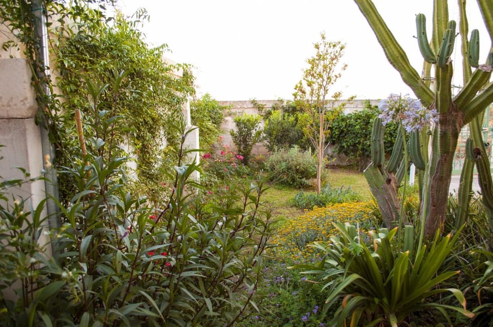 Appartamento in masseria a Porto Cesareo Apartment in Apulia