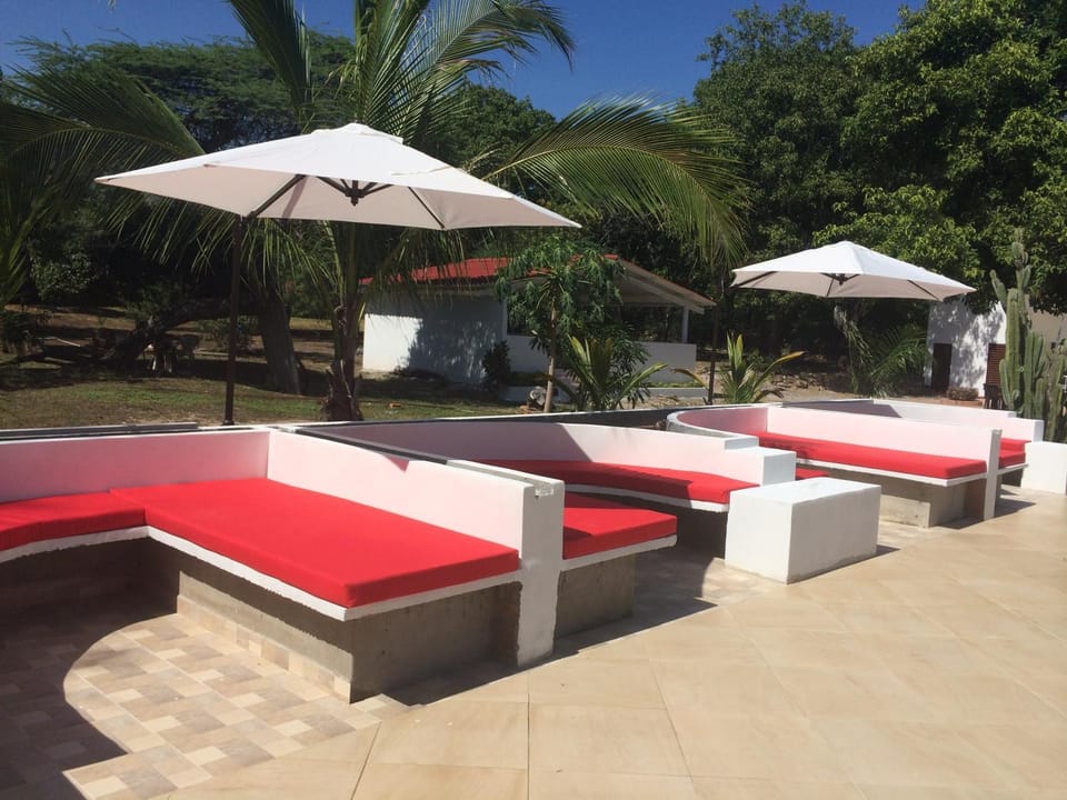 Patio, Day