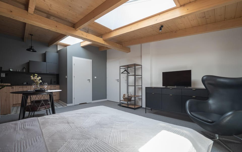 Communal lounge/ TV room, Bed, TV and multimedia, Kitchen or kitchenette, Living room, Photo of the whole room, Seating area, Bedroom, hair dresser