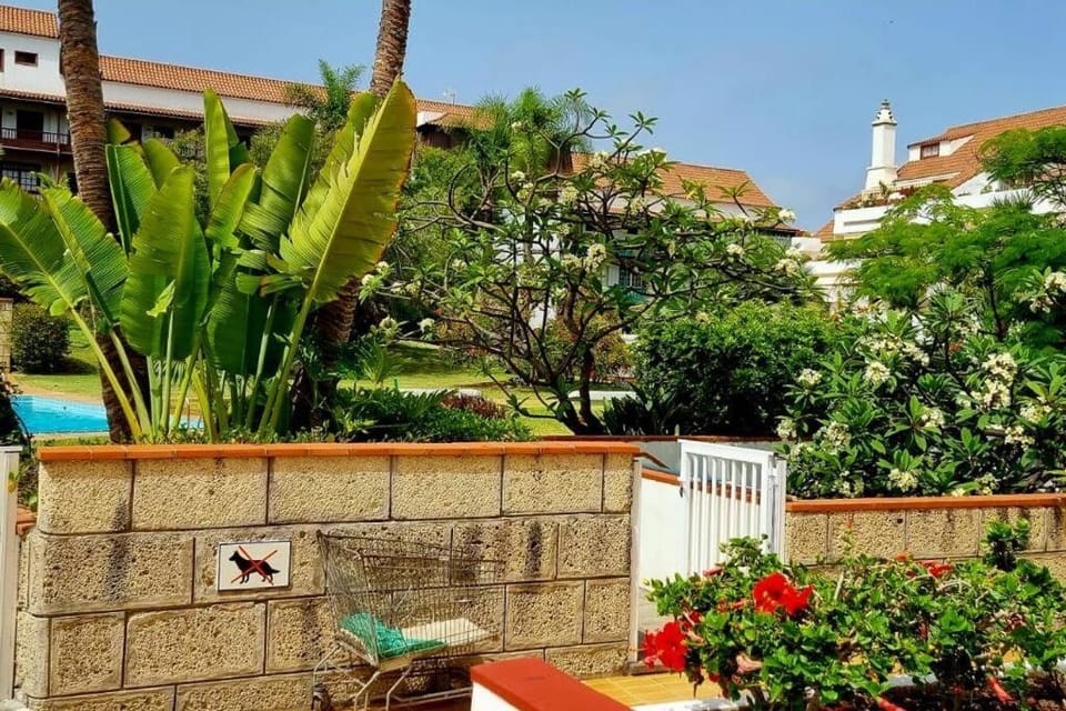 FlordeTajinaste Apartment in Puerto de la Cruz
