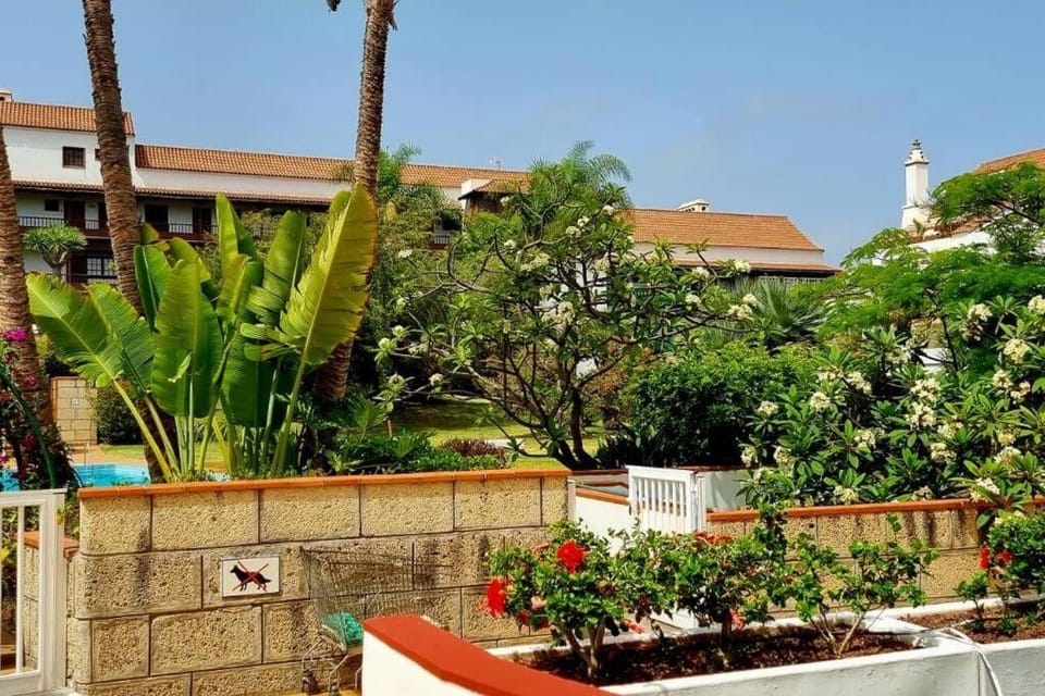 FlordeTajinaste Apartment in Puerto de la Cruz