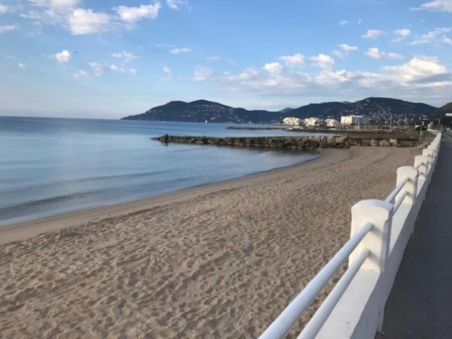 Sea view