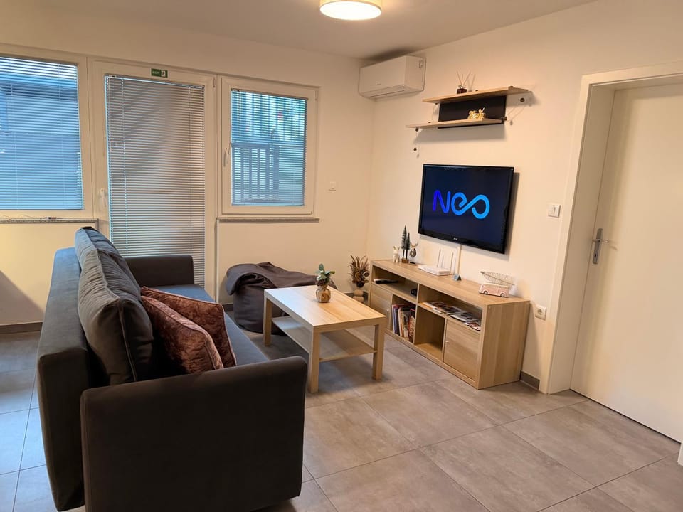 Pannonian Nest - app Rebolj Apartment in Slovenia