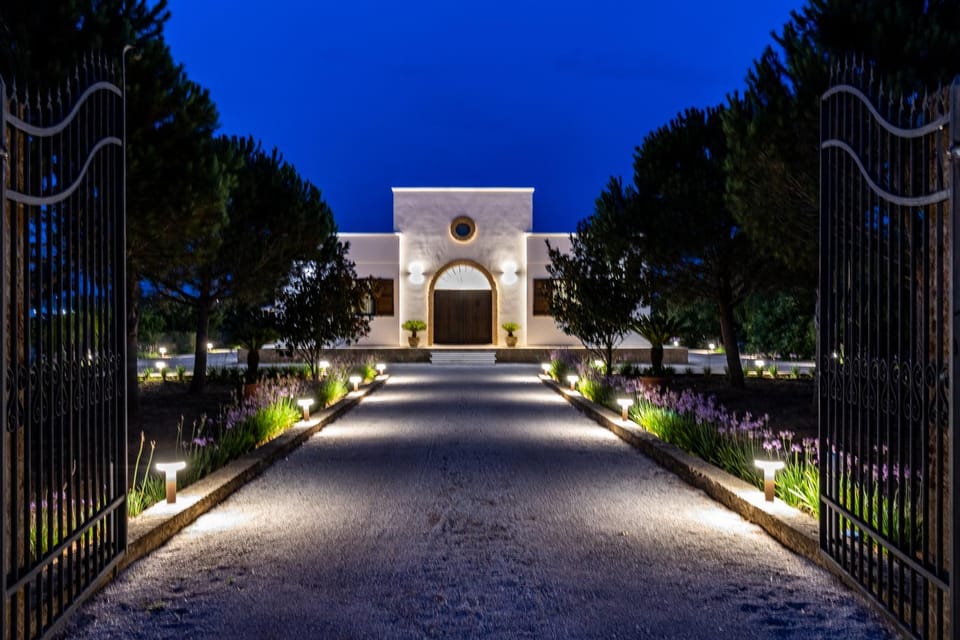 Night, Garden, Garden view