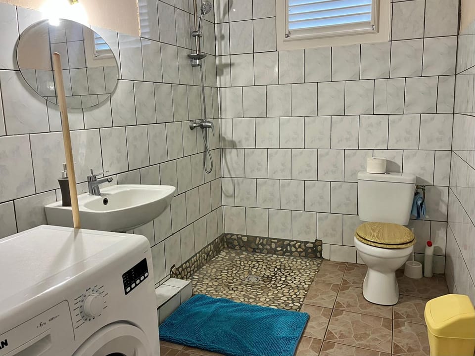 Shower, Toilet, Bathroom, washing machine