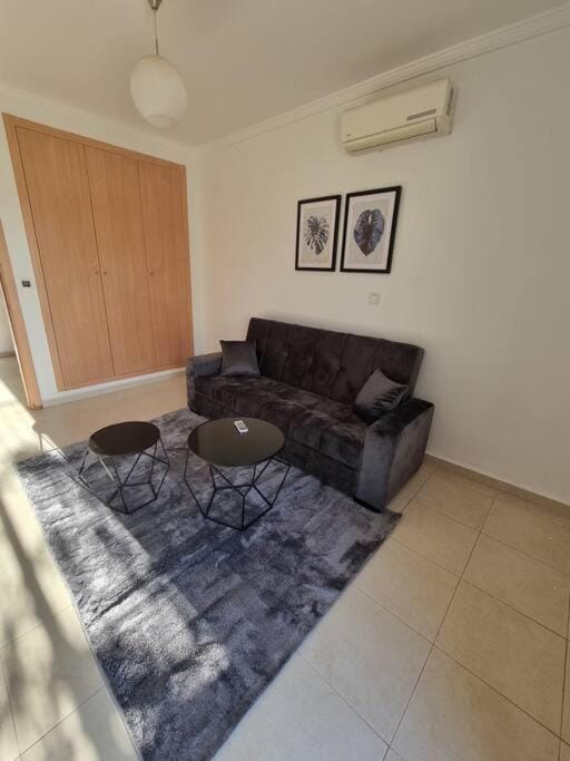 Seating area, fireplace, air conditioner