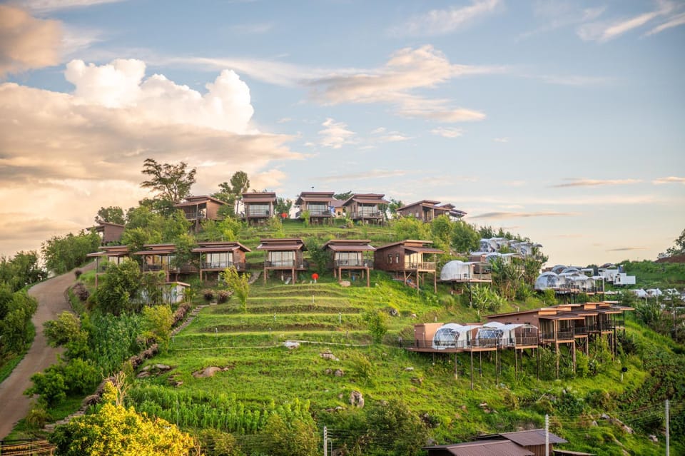 Day, Natural landscape, Garden