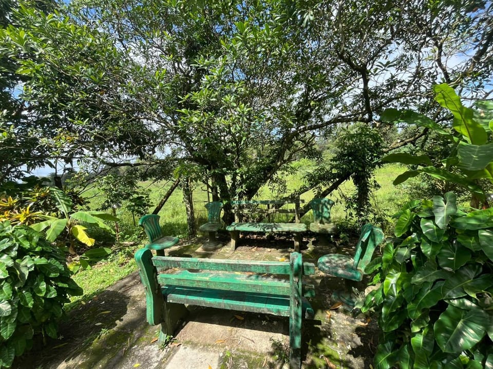 Day, Garden, Seating area, On site, Garden view, Area and facilities, Time of day