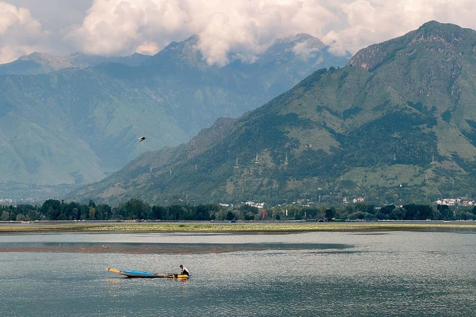 Lake view