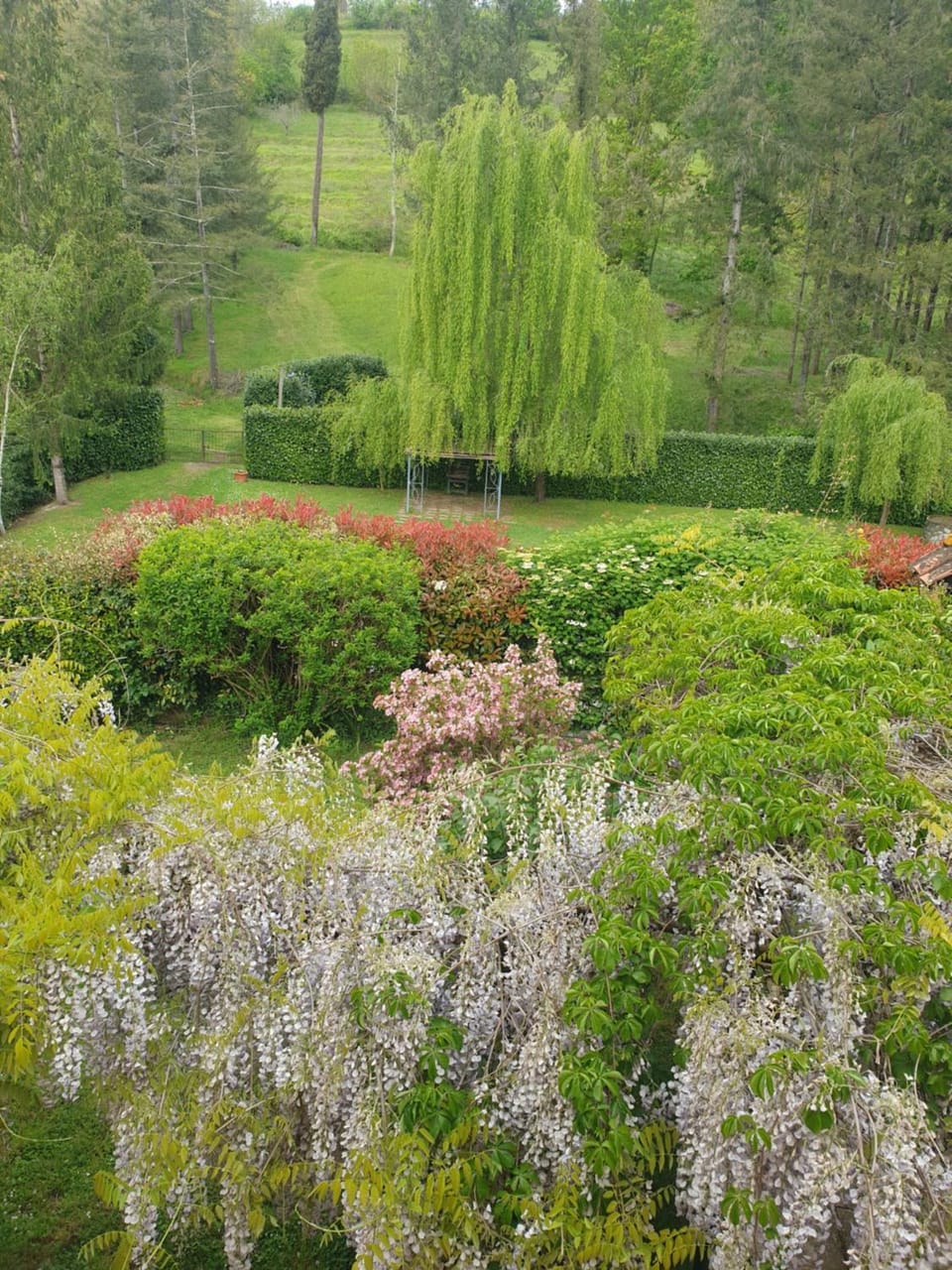 View (from property/room), Garden view