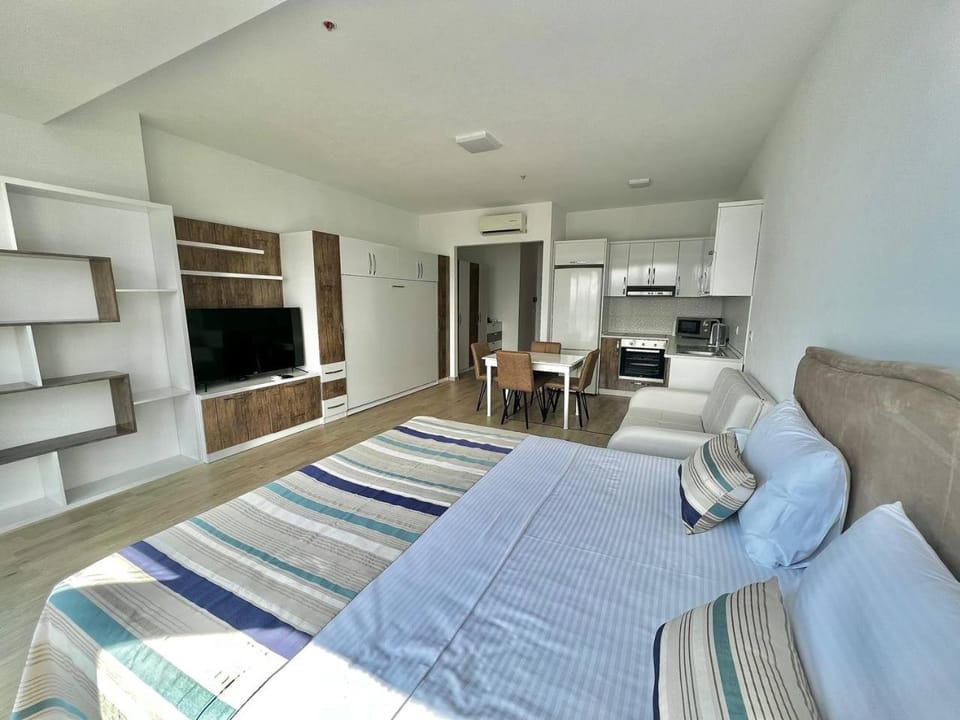 Bed, TV and multimedia, Kitchen or kitchenette, Photo of the whole room, Seating area, Dining area, Bedroom