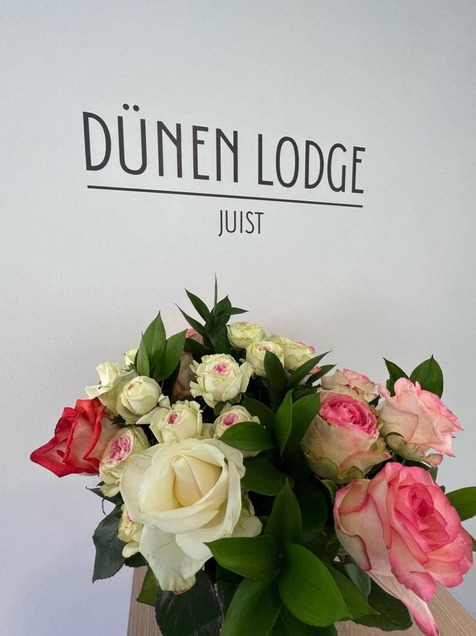 Dünen Lodge 2 Apartment in Lower Saxony, Germany