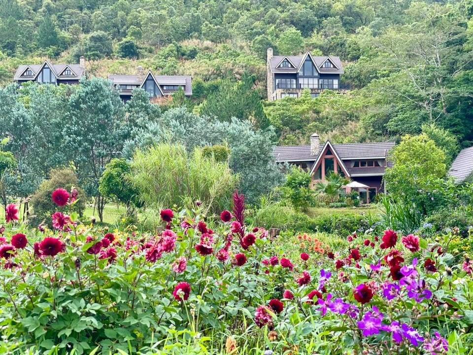 Property building, Spring, Day, Natural landscape, Garden, View (from property/room), Garden view