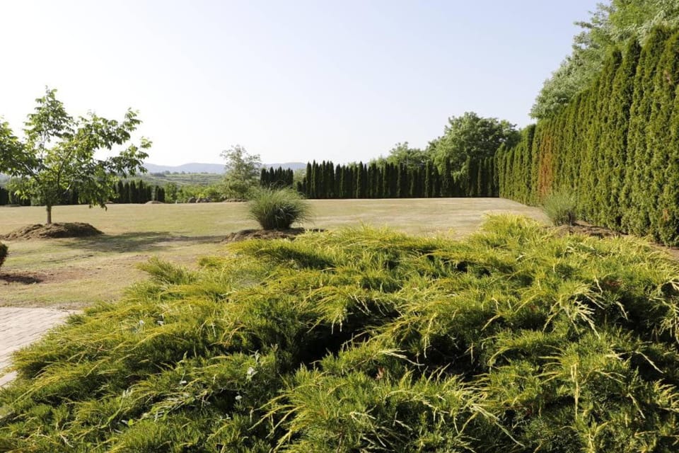 Day, Natural landscape, Garden, Garden view