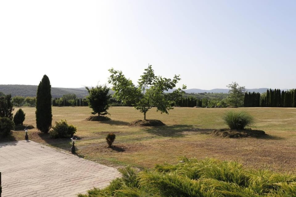 Garden, Garden, Mountain view
