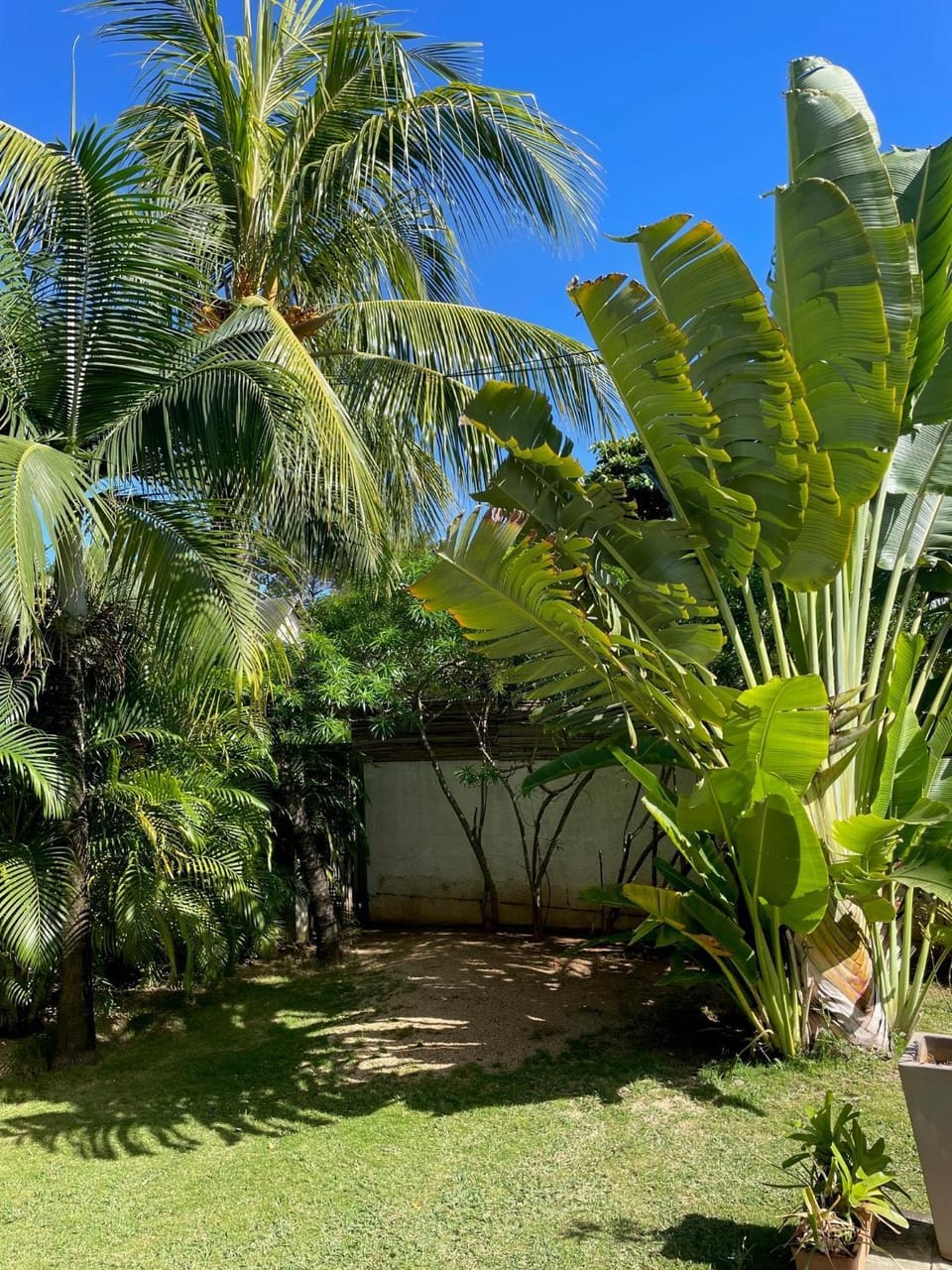 Natural landscape, Garden, Garden view