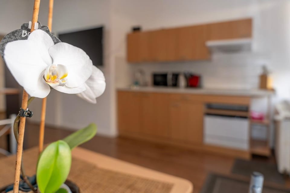 NEST by Comfort Housing - 1 bedroom apartment Apartment in Berlin