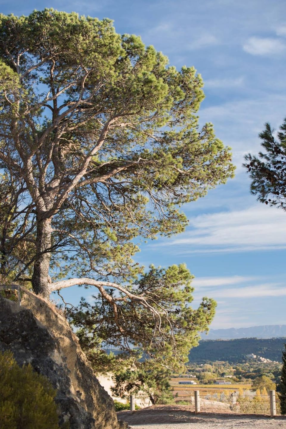Natural landscape