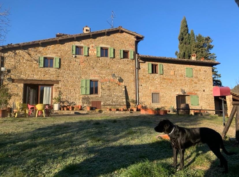Property building, Pets