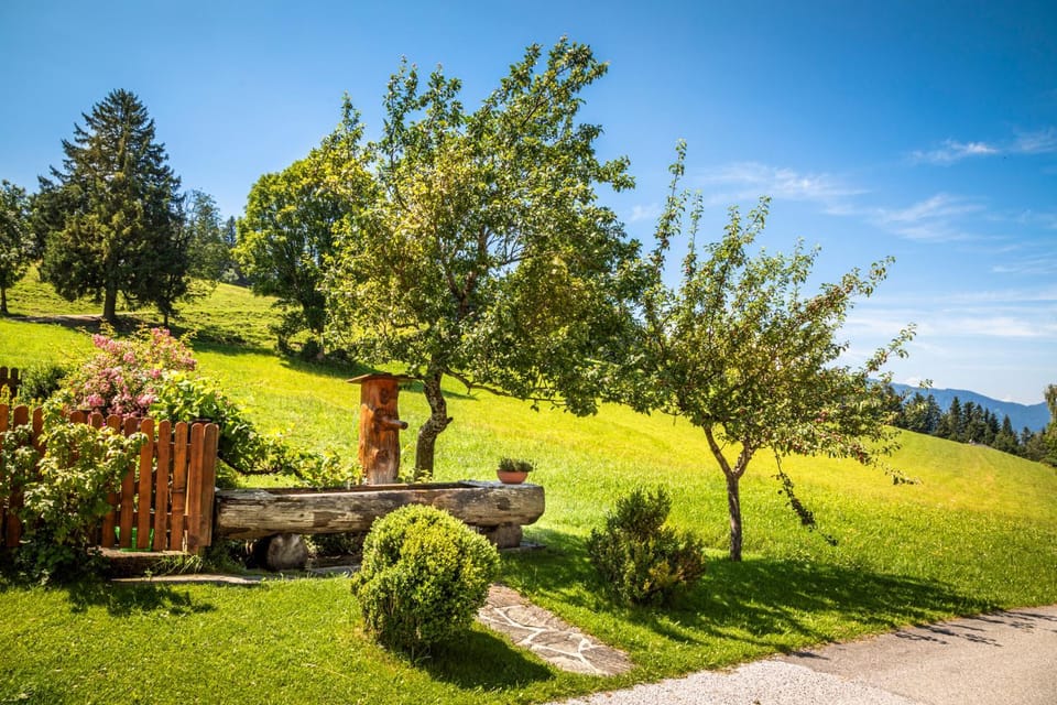 Garden, Area and facilities