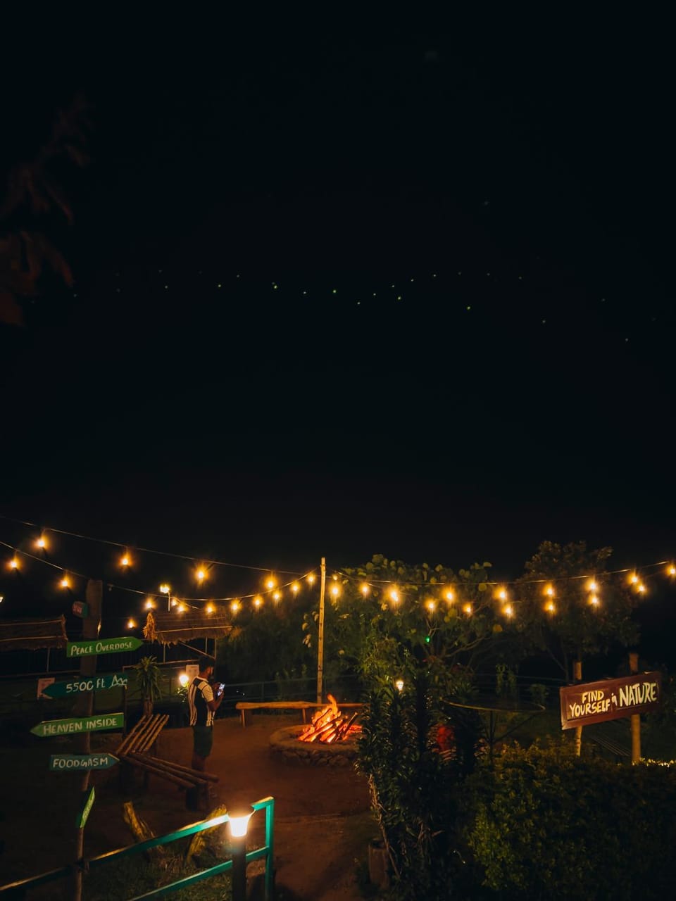 Night