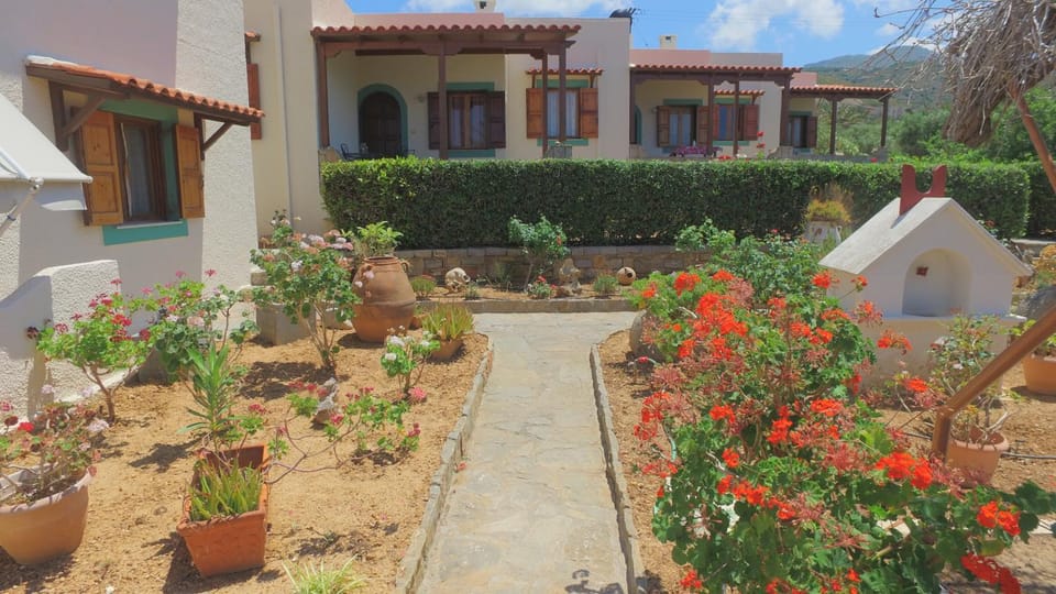 Patio, Natural landscape, Garden
