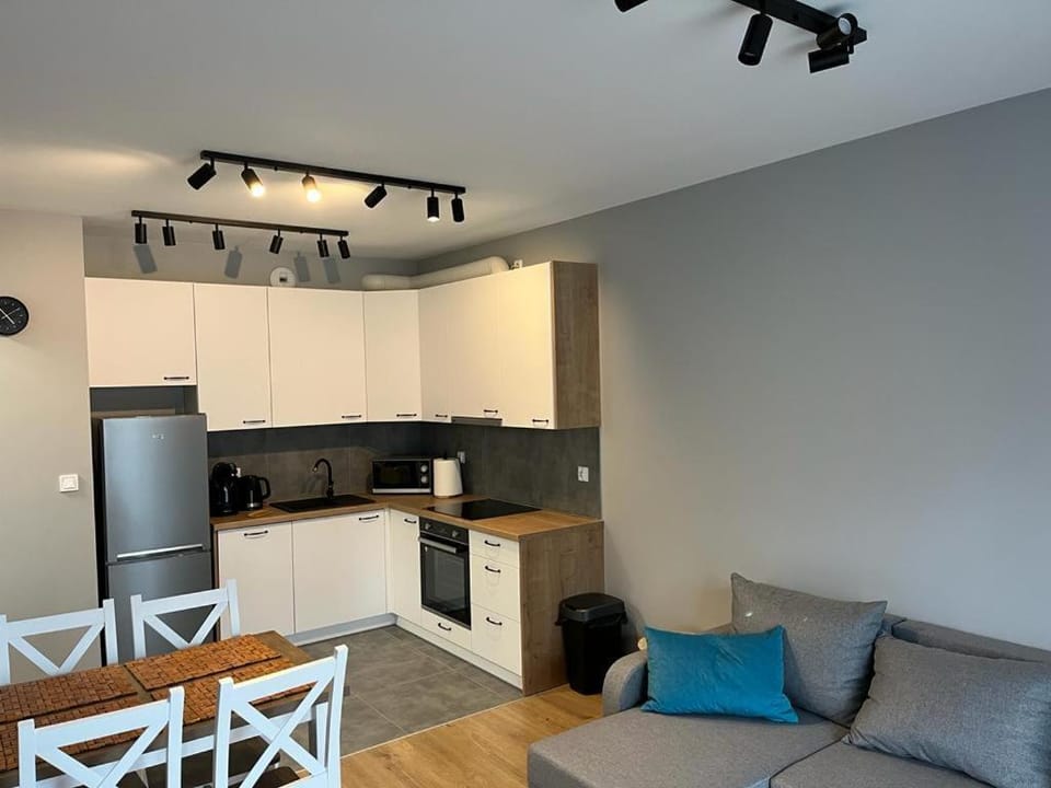 Kitchen or kitchenette, dishwasher, minibar, pet friendly, stove