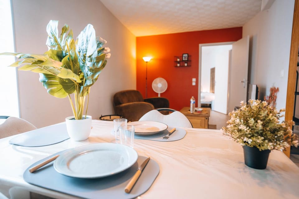 LE PETIT VOLTAIRE - Proche Centre Ville - Spacieux Apartment in Centre-Val de Loire