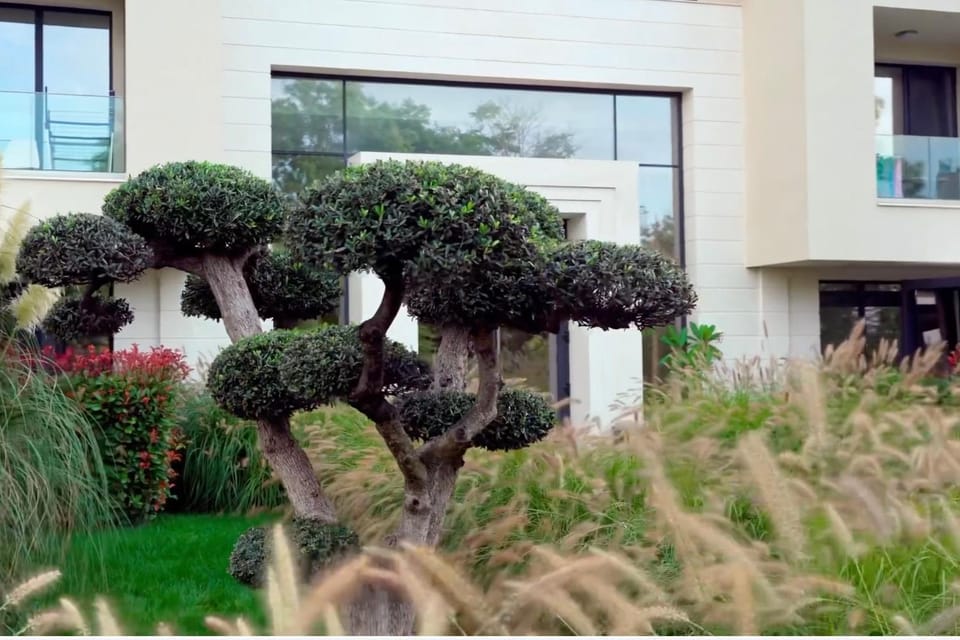 Patio, Garden