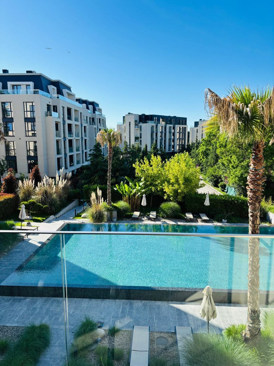 Garden, Garden view, Pool view, Swimming pool