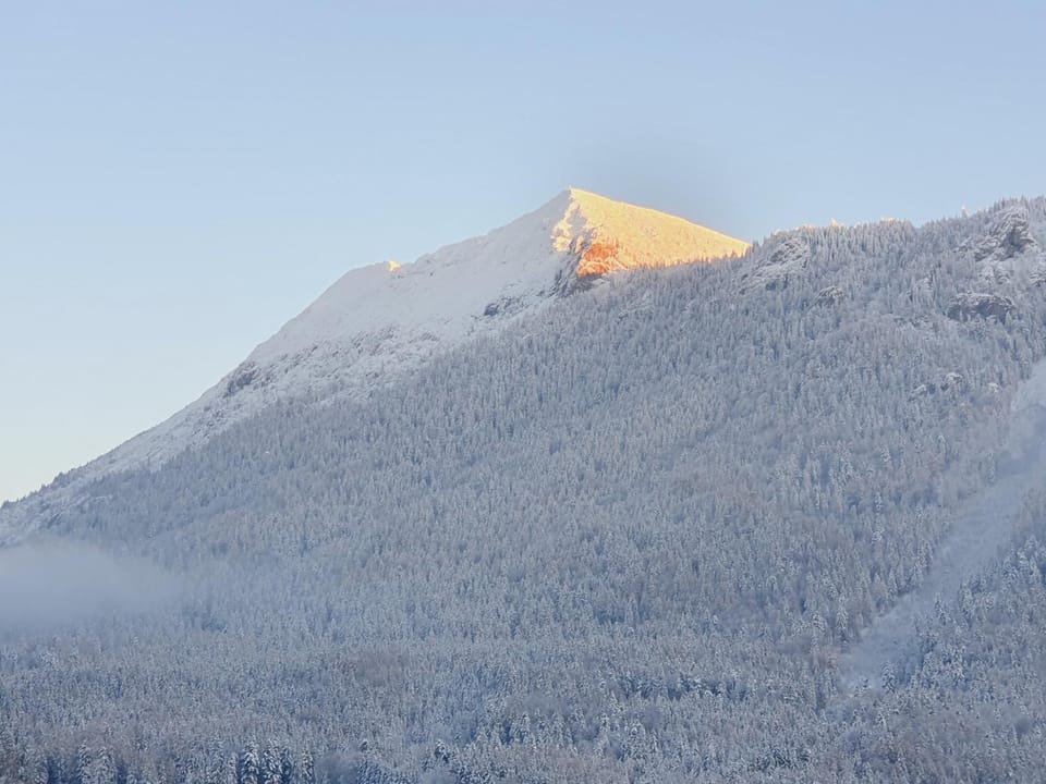 Ferienwohnung Werner Apartment in Berchtesgadener Land