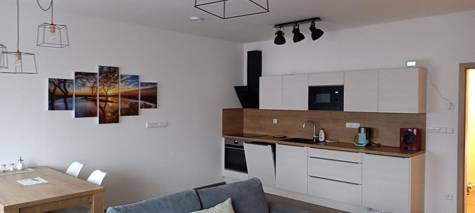 dishwasher, microwave, oven, stove