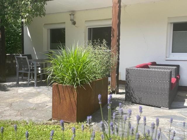 Birkenhof Apartment in Salzburgerland