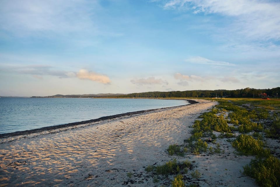 Beach, Area and facilities