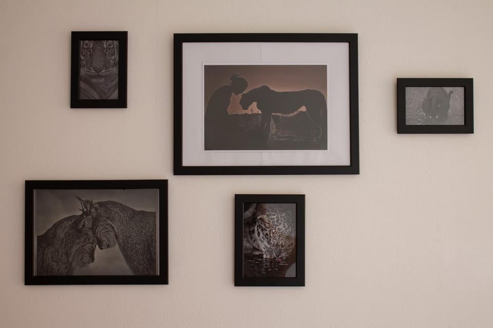 Le Case di Sara Parking and two rooms In the Historic Center Apartment in Friuli-Venezia Giulia